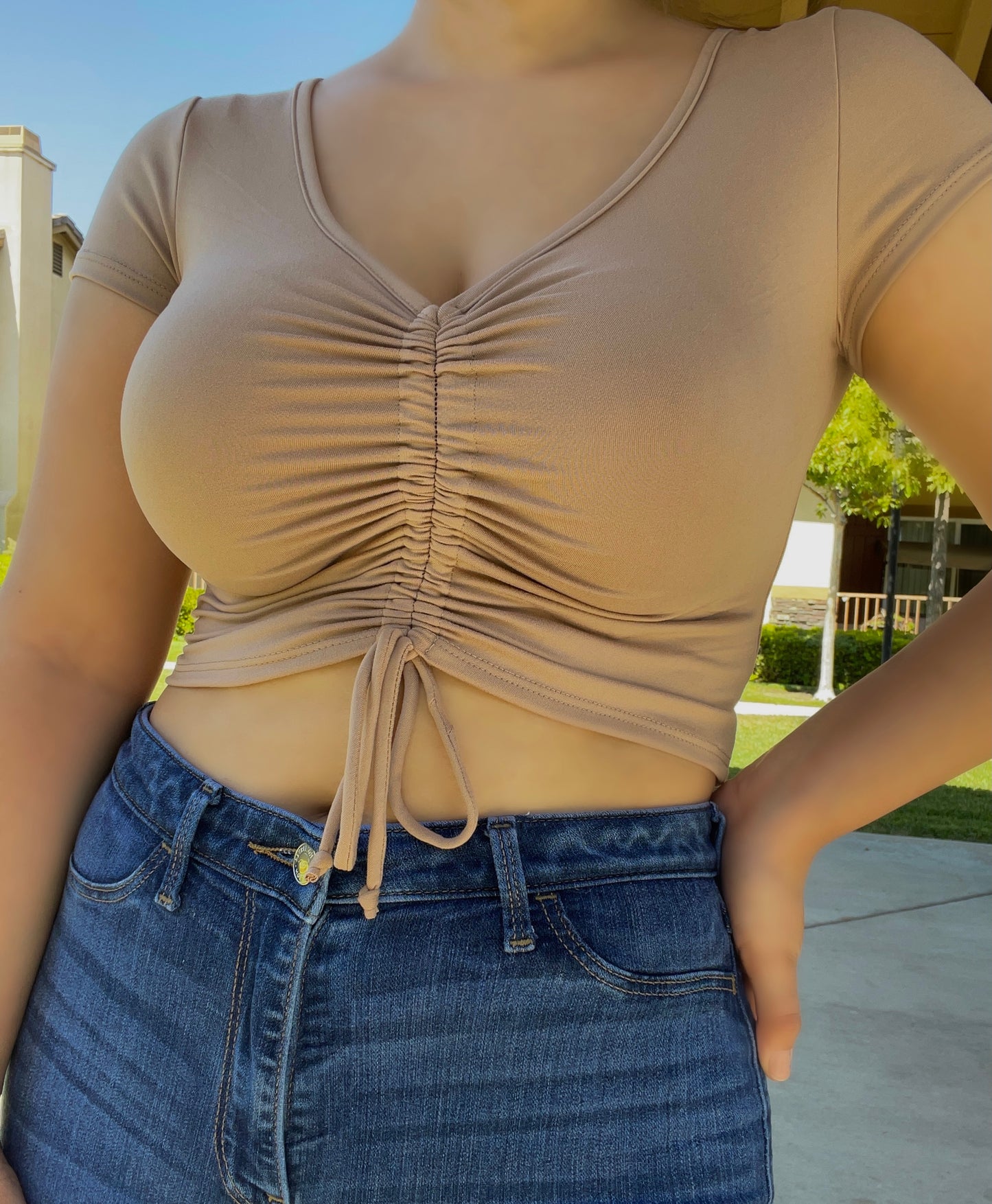 Scrunch Me Crop Top (NUDE)